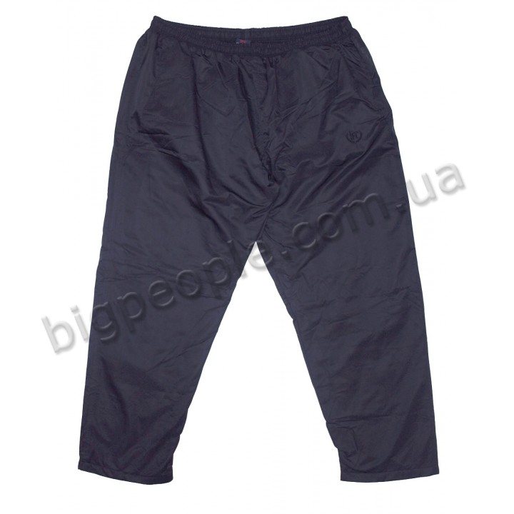 Теплі спортивні штани великого розміру на флісі IFC (br00038044)