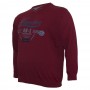 Бордова чоловіча футболка з довгим рукавом ANNEX (fu00832606)