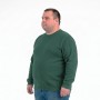Мужской тёплый свитшот ANNEX цвет зелёный (ba01153897)