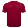 Футболка чоловіча POLO PEPE великого розміру. Колір бордо. Воріт напівкруглий. (fu01411006)