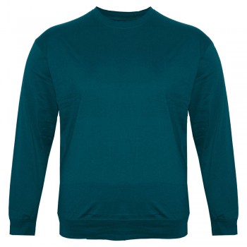 Бірюзова футболка (толстовка тонка) OLSER (fu01932548)